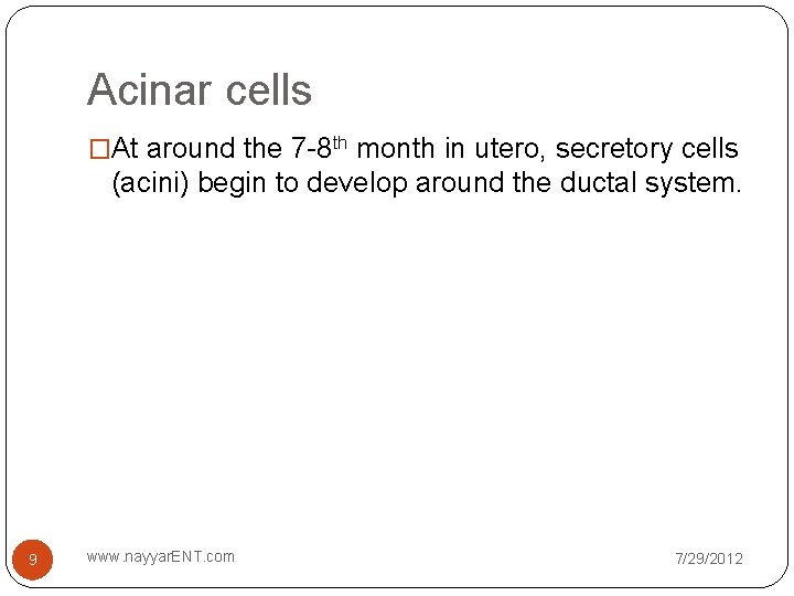 Acinar cells �At around the 7 -8 th month in utero, secretory cells (acini)