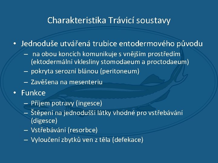 Charakteristika Trávicí soustavy • Jednoduše utvářená trubice entodermového původu – na obou koncích komunikuje