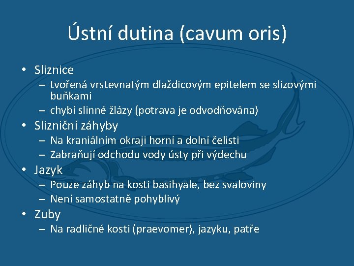 Ústní dutina (cavum oris) • Sliznice – tvořená vrstevnatým dlaždicovým epitelem se slizovými buňkami