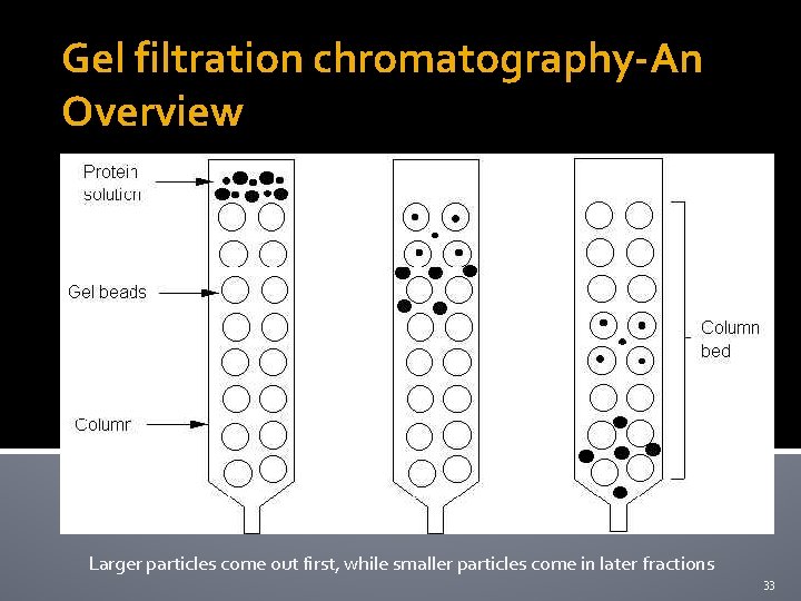 Gel filtration chromatography-An Overview Larger particles come out first, while smaller particles come in
