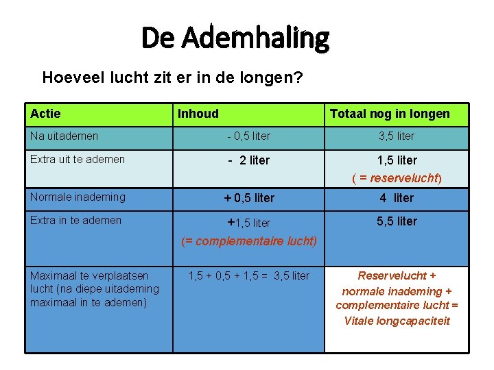 De Ademhaling Hoeveel lucht zit er in de longen? Actie Inhoud Totaal nog in