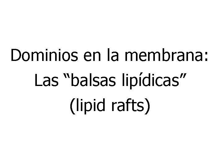 Dominios en la membrana: Las “balsas lipídicas” (lipid rafts) 