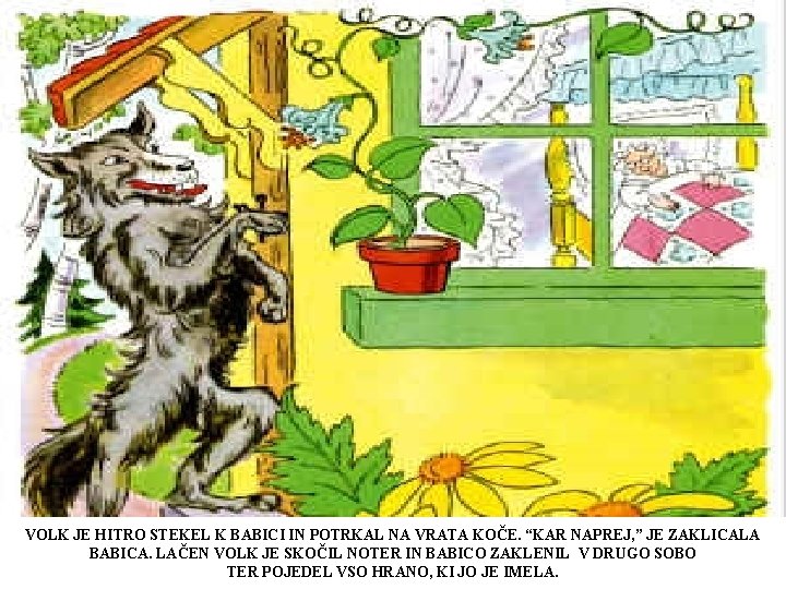 VOLK JE HITRO STEKEL K BABICI IN POTRKAL NA VRATA KOČE. “KAR NAPREJ, ” VOLK JE HITRO STEKEL K BABICI IN POTRKAL NA VRATA KOČE. “KAR NAPREJ, ”