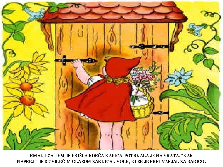 KMALU ZA TEM JE PRIŠLA RDEČA KAPICA. POTRKALA JE NA VRATA. “KAR NAPREJ, ” KMALU ZA TEM JE PRIŠLA RDEČA KAPICA. POTRKALA JE NA VRATA. “KAR NAPREJ, ”