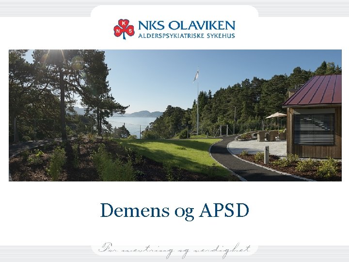 Demens og APSD 