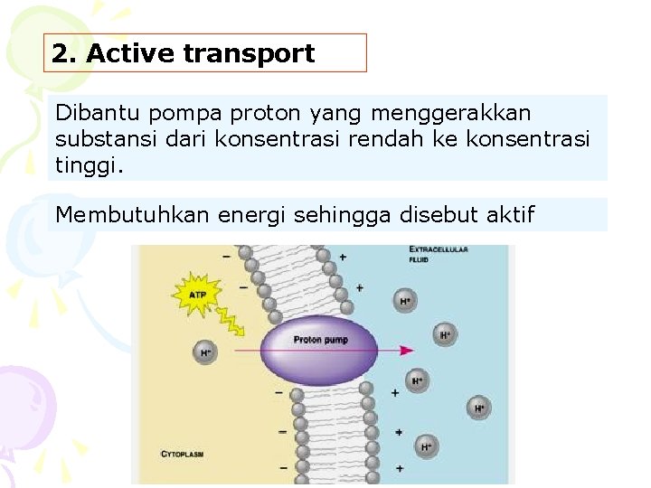 2. Active transport Dibantu pompa proton yang menggerakkan substansi dari konsentrasi rendah ke konsentrasi