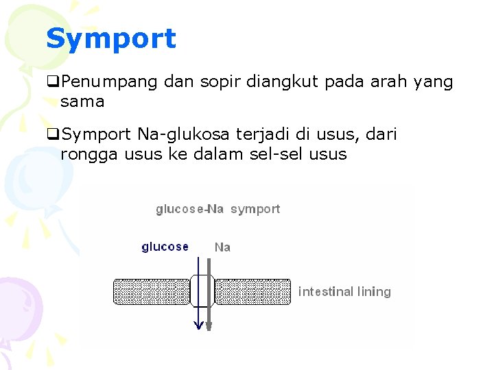 Symport q. Penumpang dan sopir diangkut pada arah yang sama q. Symport Na-glukosa terjadi