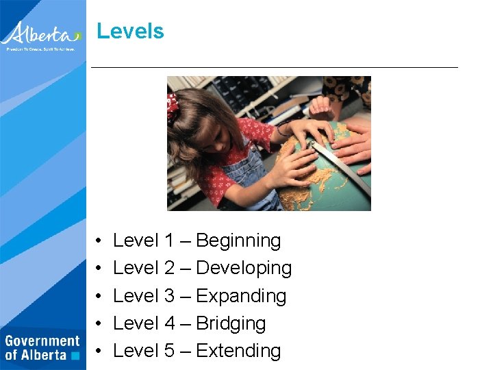 Levels • • • Level 1 – Beginning Level 2 – Developing Level 3