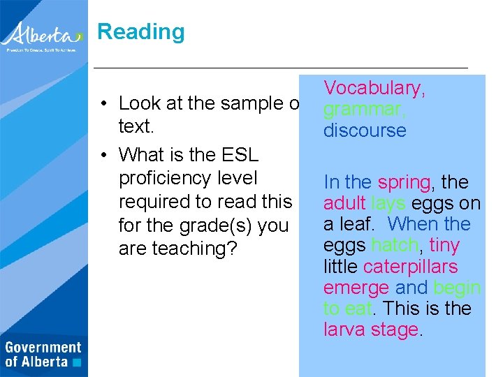 Reading Vocabulary, • Look at the sample of grammar, text. discourse • What is