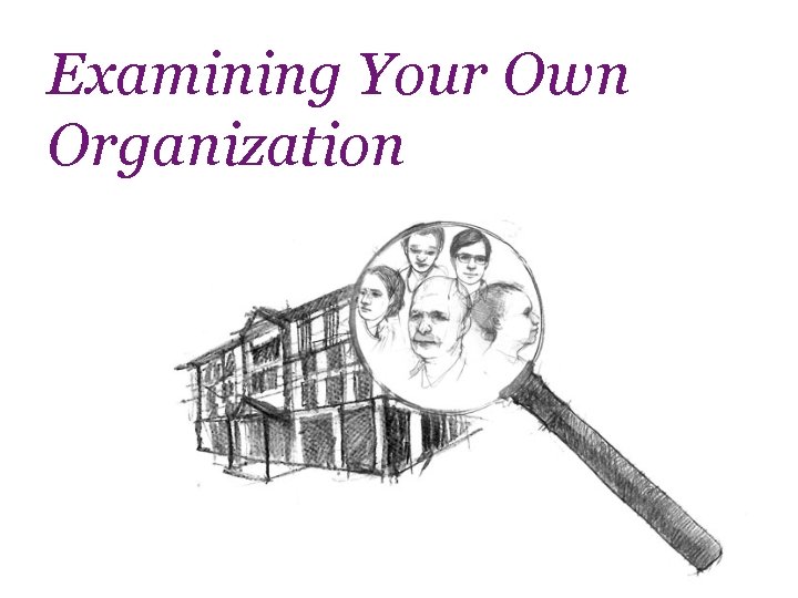 Examining Your Own Organization 