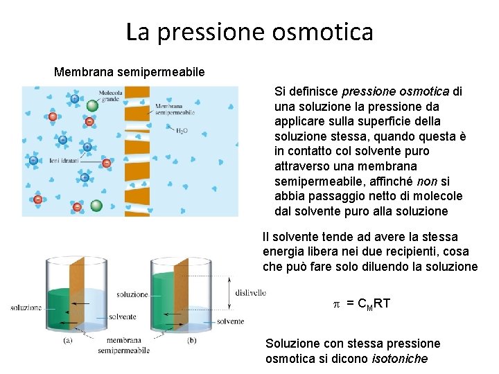 La pressione osmotica Membrana semipermeabile Si definisce pressione osmotica di una soluzione la pressione