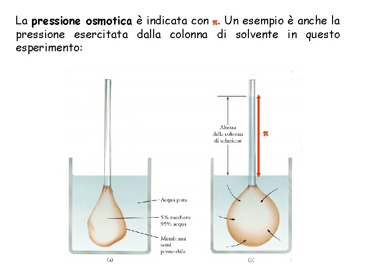 La pressione osmotica è indicata con . Un esempio è anche la pressione esercitata