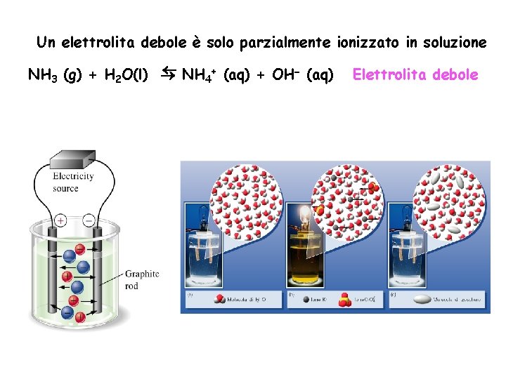 Un elettrolita debole è solo parzialmente ionizzato in soluzione NH + (aq) + OH