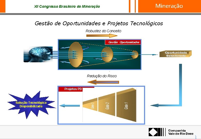XII Congresso Brasileiro de Mineração Gestão de Oportunidades e Projetos Tecnológicos Robustez do Conceito