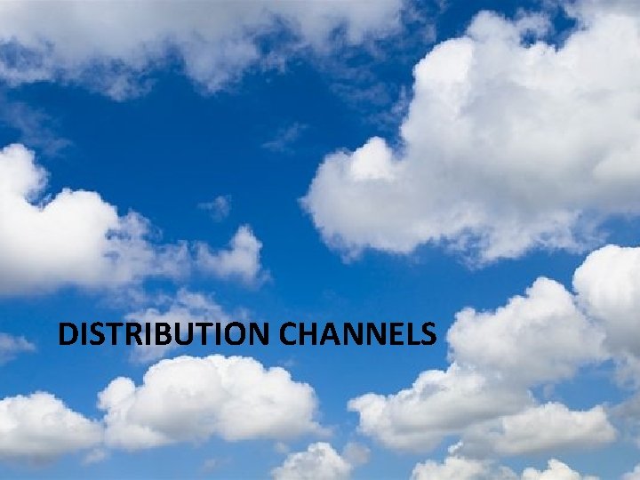 DISTRIBUTION CHANNELS 