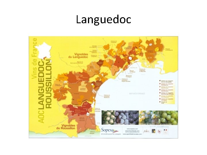 Languedoc 