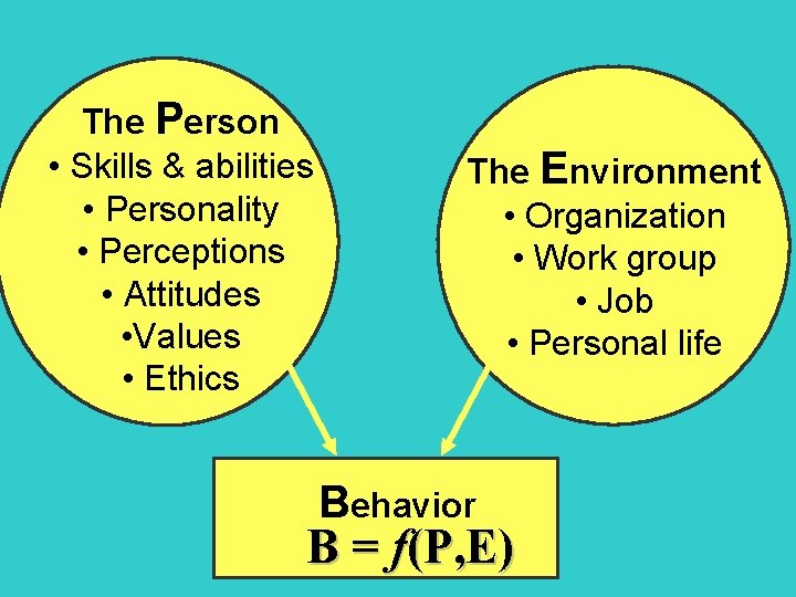 The Person • Skills & abilities • Personality • Perceptions • Attitudes • Values