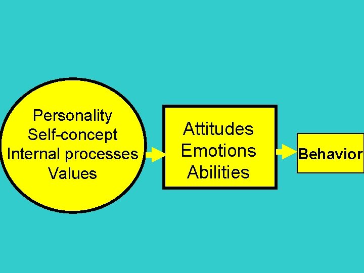 Personality Self-concept Internal processes Values Attitudes Emotions Abilities Behavior 