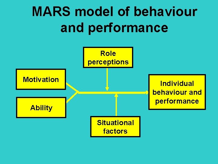 MARS model of behaviour and performance Role perceptions Motivation Individual behaviour and performance Ability