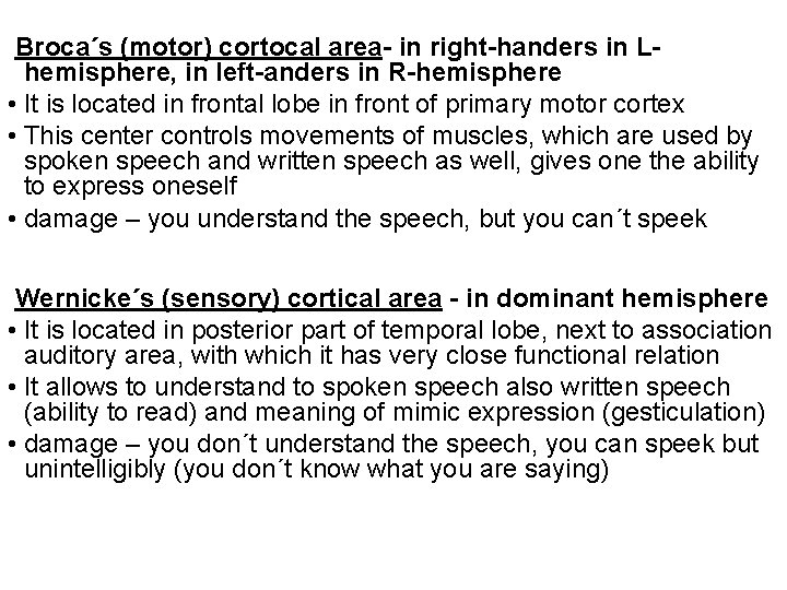 Broca´s (motor) cortocal area- in right-handers in Lhemisphere, in left-anders in R-hemisphere • It