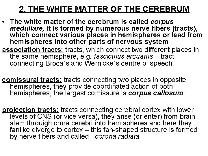 2. THE WHITE MATTER OF THE CEREBRUM • The white matter of the cerebrum