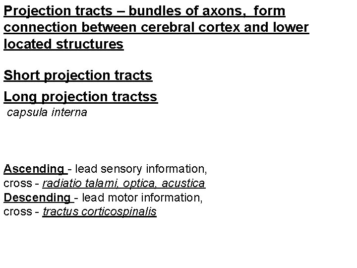 Projection tracts – bundles of axons, form connection between cerebral cortex and lower located