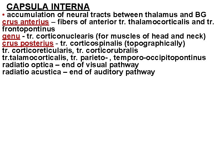 CAPSULA INTERNA • accumulation of neural tracts between thalamus and BG crus anterius –