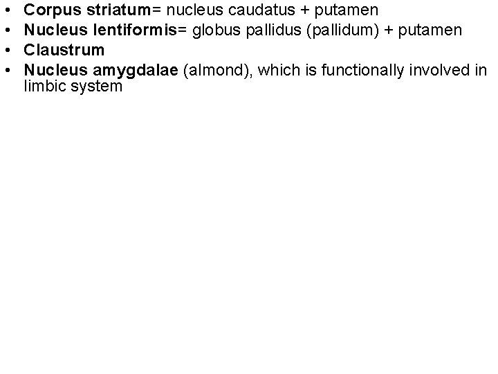  • • Corpus striatum= nucleus caudatus + putamen Nucleus lentiformis= globus pallidus (pallidum)