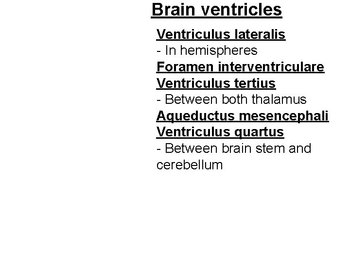 Brain ventricles Ventriculus lateralis - In hemispheres Foramen interventriculare Ventriculus tertius - Between both