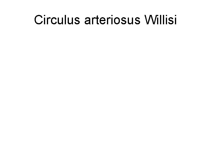 Circulus arteriosus Willisi 