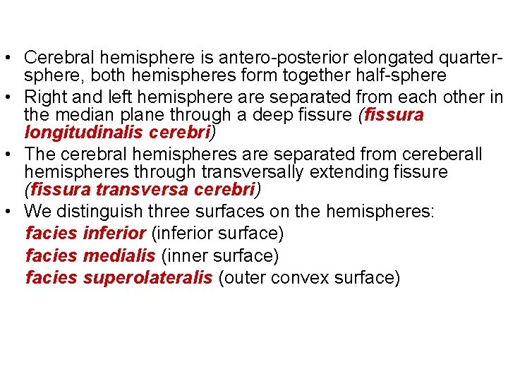  • Cerebral hemisphere is antero-posterior elongated quartersphere, both hemispheres form together half-sphere •