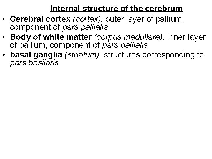 Internal structure of the cerebrum • Cerebral cortex (cortex): outer layer of pallium, component