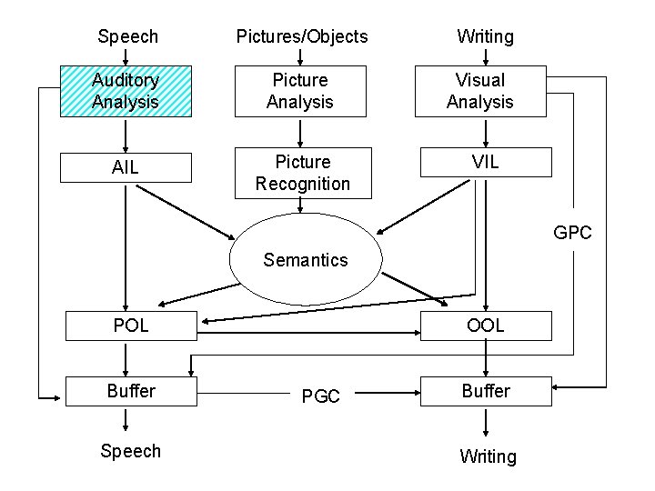Speech Pictures/Objects Writing Auditory Analysis Picture Analysis Visual Analysis AIL Picture Recognition VIL GPC