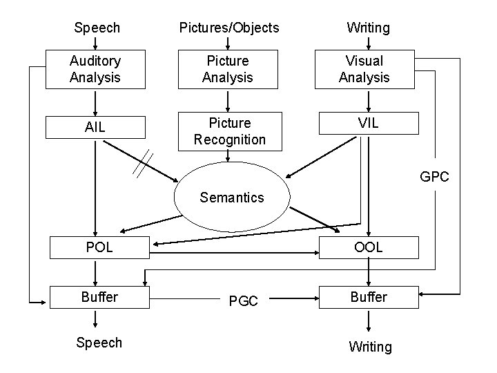 Speech Pictures/Objects Writing Auditory Analysis Picture Analysis Visual Analysis AIL Picture Recognition VIL GPC