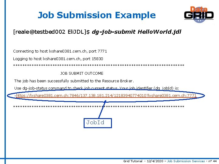 Job Submission Example [reale@testbed 002 Eli. JDL]$ dg-job-submit Hello. World. jdl Connecting to host