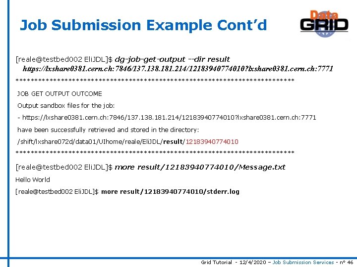 Job Submission Example Cont’d [reale@testbed 002 Eli. JDL]$ dg-job-get-output --dir result https: //lxshare 0381.