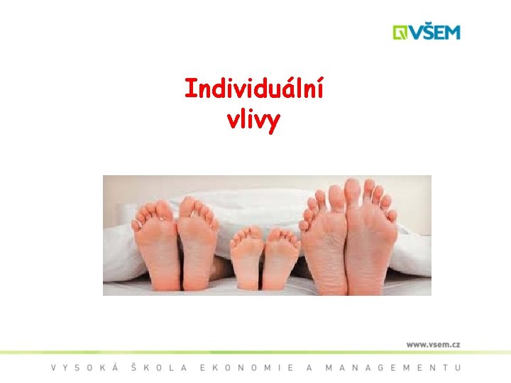 Individuální vlivy 