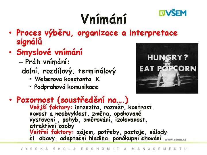 Vnímání • Proces výběru, organizace a interpretace signálů • Smyslové vnímání – Práh vnímání: