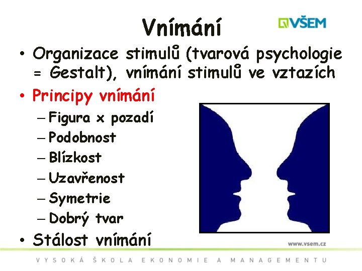 Vnímání • Organizace stimulů (tvarová psychologie = Gestalt), vnímání stimulů ve vztazích • Principy