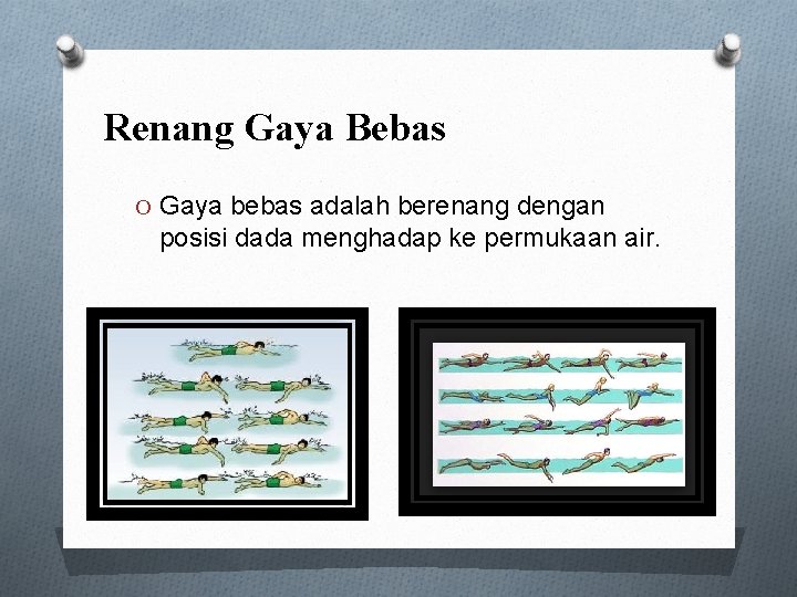 Renang Gaya Bebas O Gaya bebas adalah berenang dengan posisi dada menghadap ke permukaan