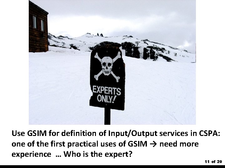 Use GSIM for definition of Input/Output services in CSPA: one of the first practical