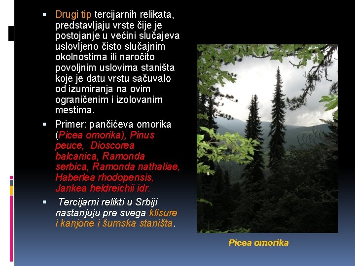  Drugi tip tercijarnih relikata, predstavljaju vrste čije je postojanje u većini slučajeva uslovljeno