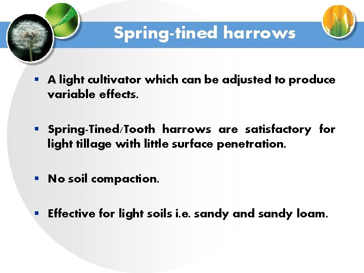 Spring-tined harrows § A light cultivator which can be adjusted to produce variable effects.