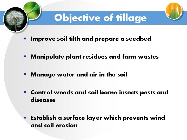 Objective of tillage § Improve soil tilth and prepare a seedbed § Manipulate plant