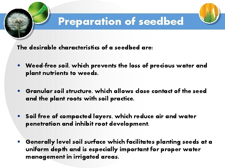 Preparation of seedbed The desirable characteristics of a seedbed are: § Weed-free soil, which