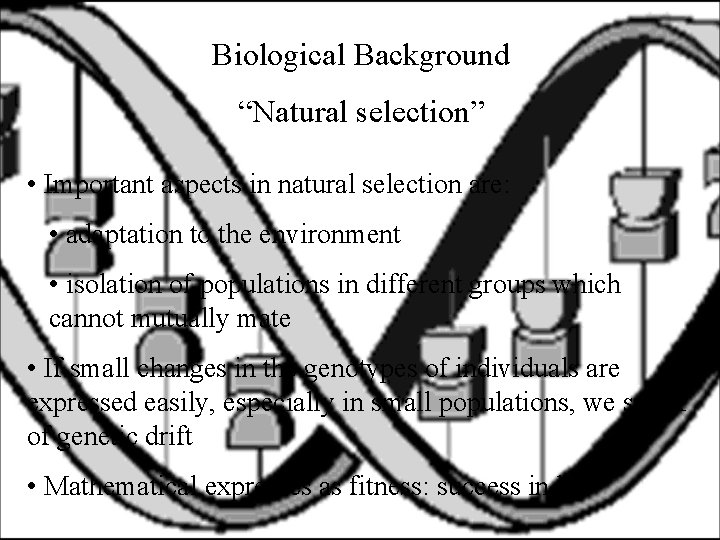 Biological Background “Natural selection” • Important aspects in natural selection are: • adaptation to