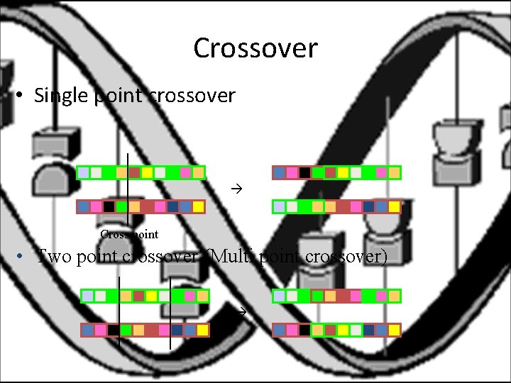 Crossover • Single point crossover Cross point • Two point crossover (Multi point crossover)