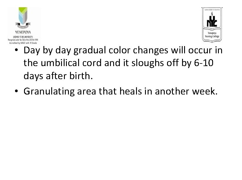  • Day by day gradual color changes will occur in the umbilical cord