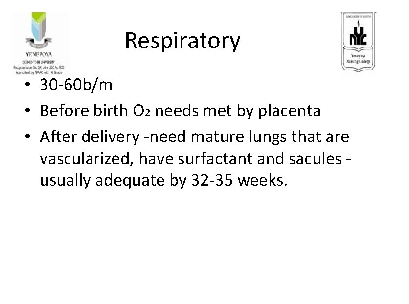 Respiratory • 30 -60 b/m • Before birth O 2 needs met by placenta