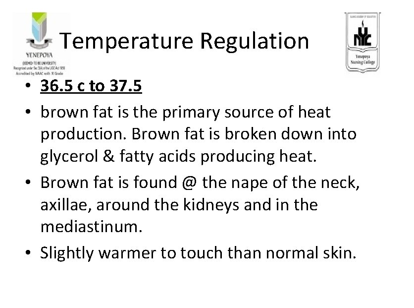 Temperature Regulation • 36. 5 c to 37. 5 • brown fat is the
